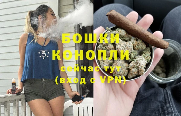 винт Аркадак