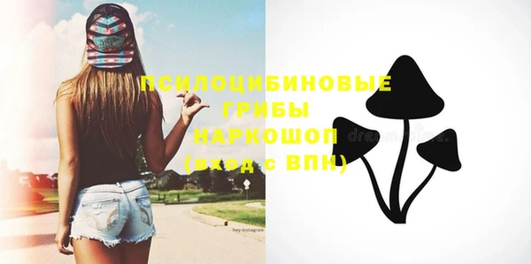 винт Аркадак