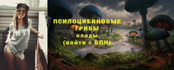бошки Армянск