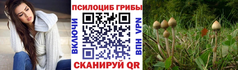 Галлюциногенные грибы MAGIC MUSHROOMS  где найти наркотики  Углич 
