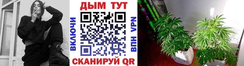 shop какой сайт  Углич  Каннабис Ganja 